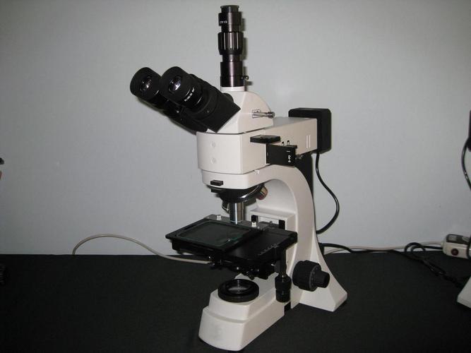 金相显微镜厂家-rx-mr无限远金相显微镜-电子制程工具仪器